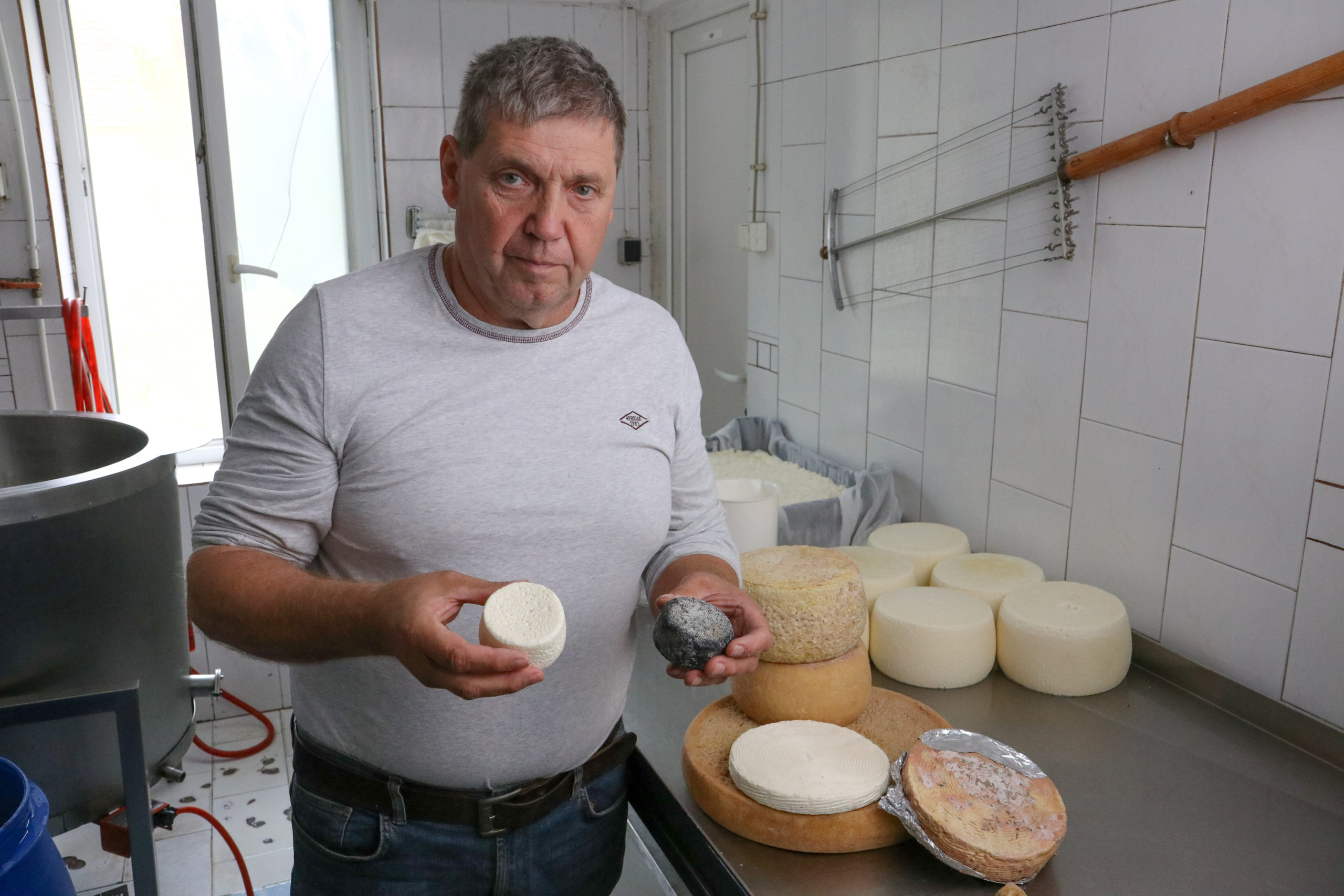 Read more about the article Nyerstejes sajtok világnapja