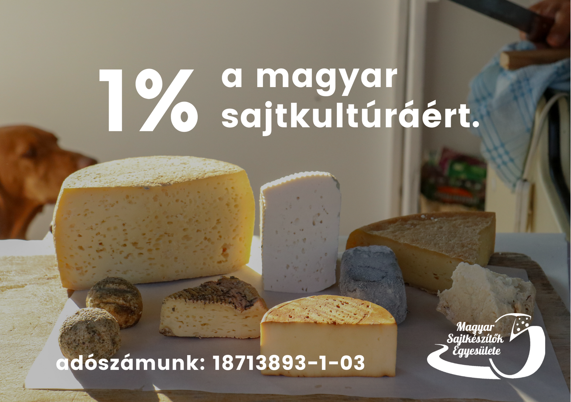 Read more about the article 1% a magyar sajtkultúráért